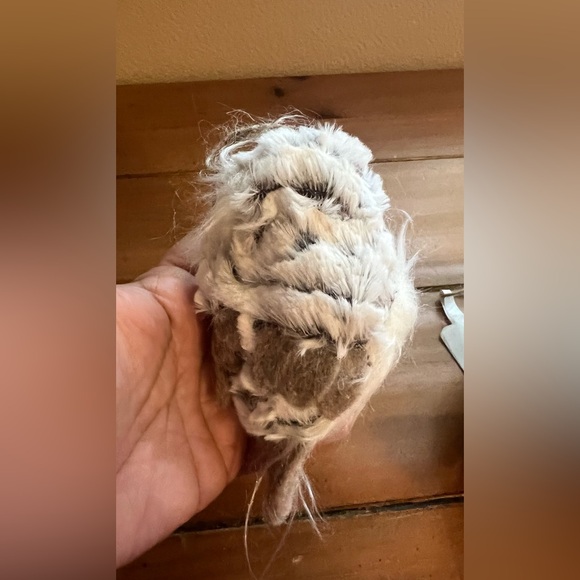 Wondershop Owl Christmas Ornaments - Picture 3 of 3